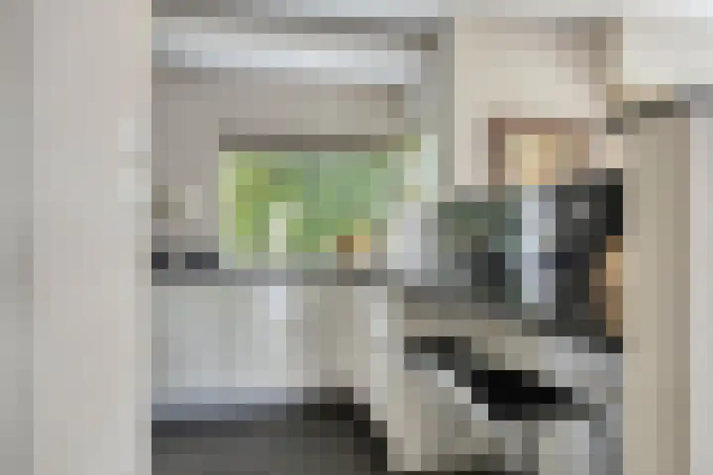 Houtsnip 2 Castricum thumbnail 20