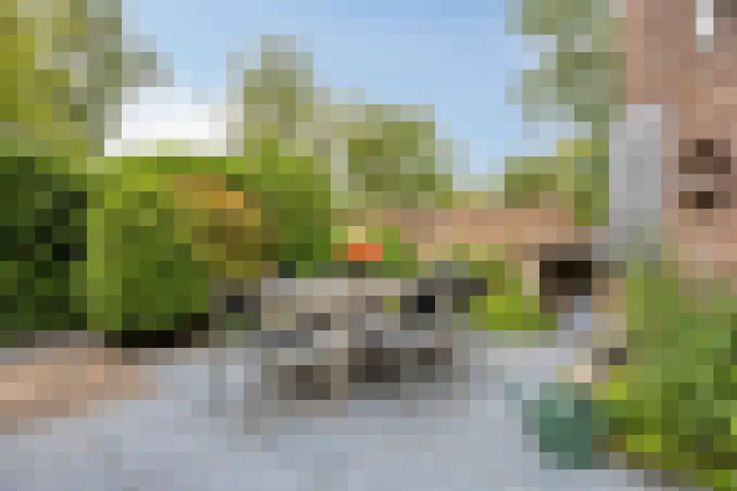 Houtsnip 2 Castricum thumbnail 24
