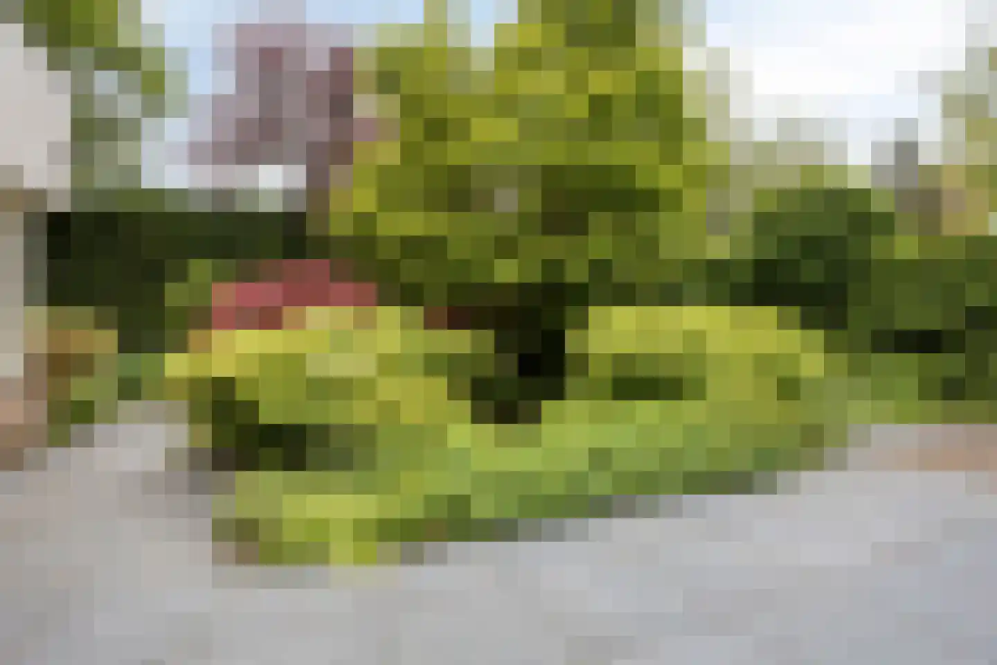 Houtsnip 2 Castricum thumbnail 25