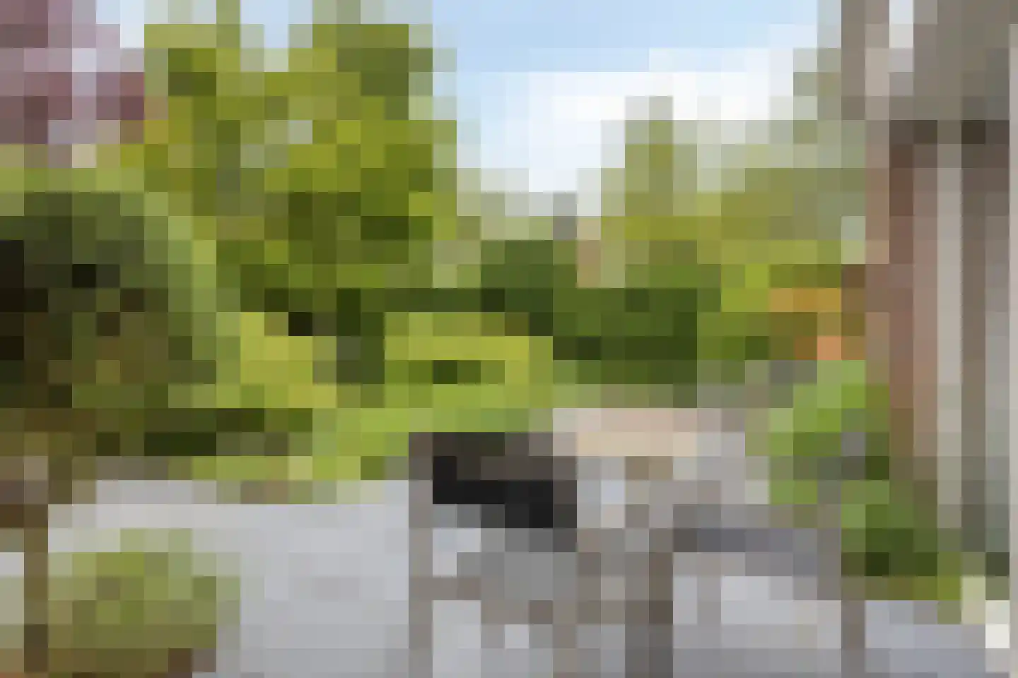 Houtsnip 2 Castricum thumbnail 26