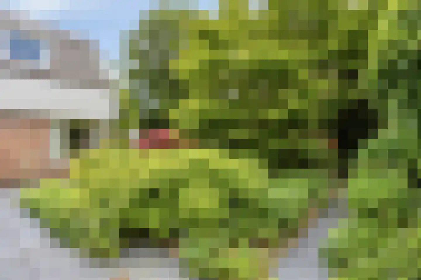 Houtsnip 2 Castricum thumbnail 29