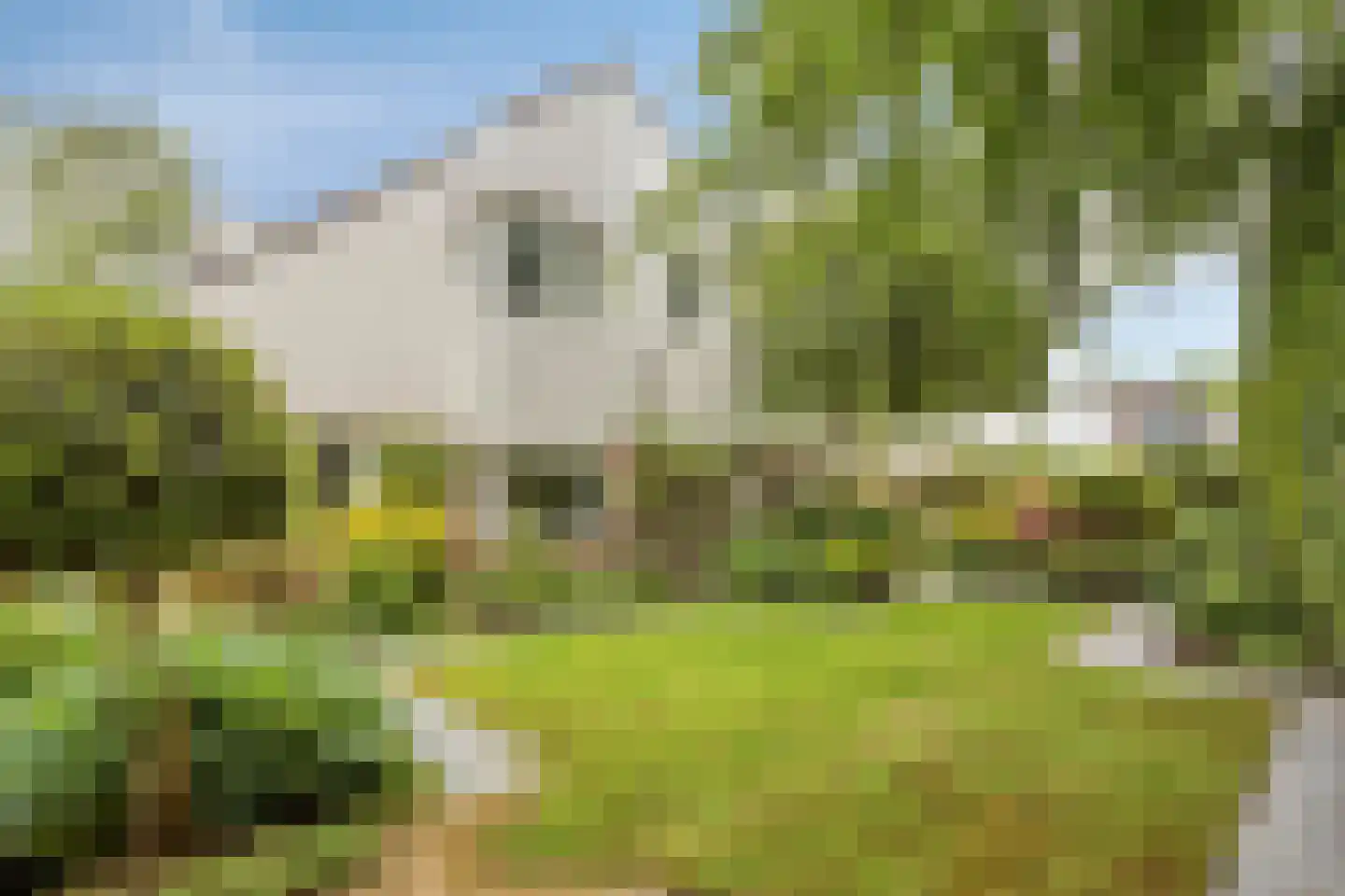 Houtsnip 2 Castricum thumbnail 30