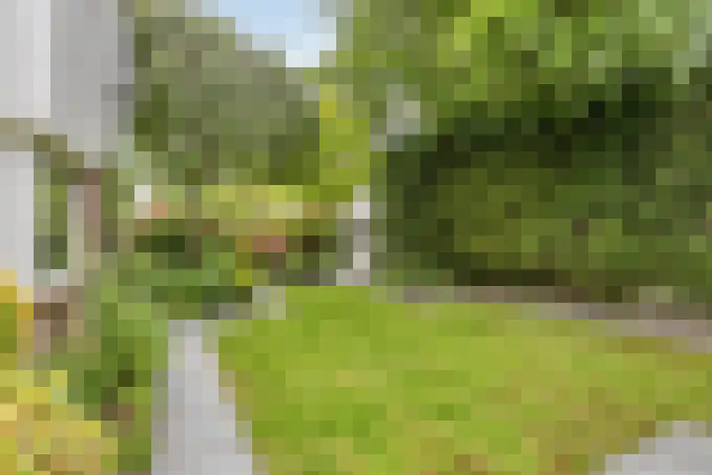Houtsnip 2 Castricum thumbnail 31