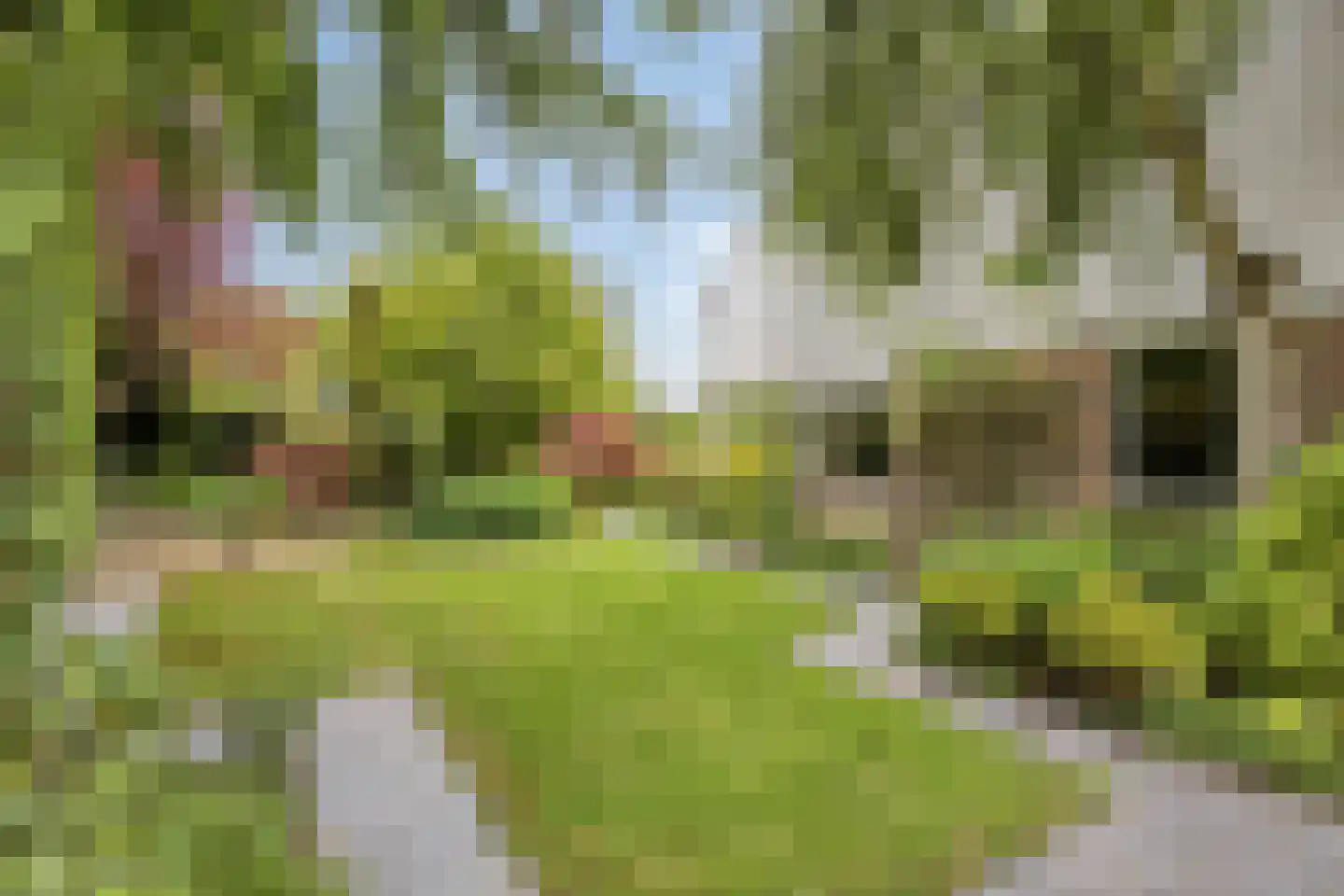Houtsnip 2 Castricum thumbnail 32