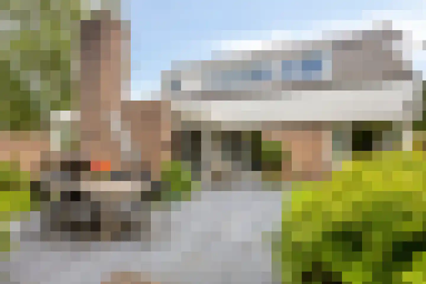 Houtsnip 2 Castricum thumbnail 33