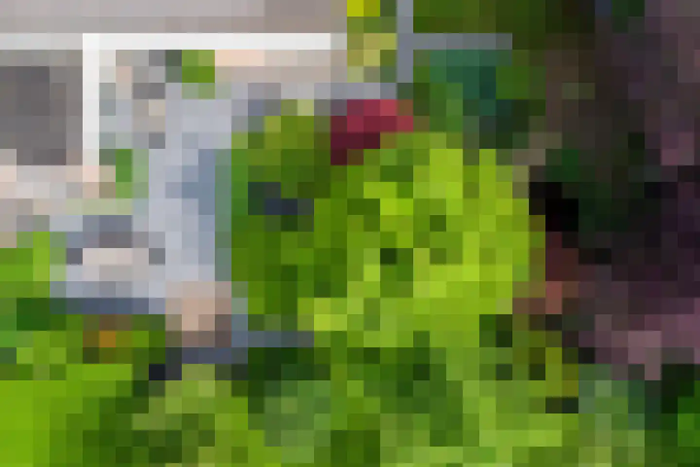 Houtsnip 2 Castricum thumbnail 35