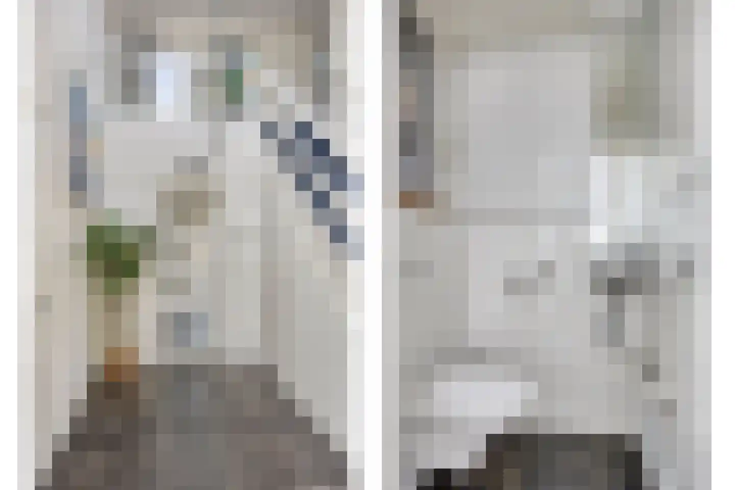 Houtsnip 2 Castricum thumbnail 38