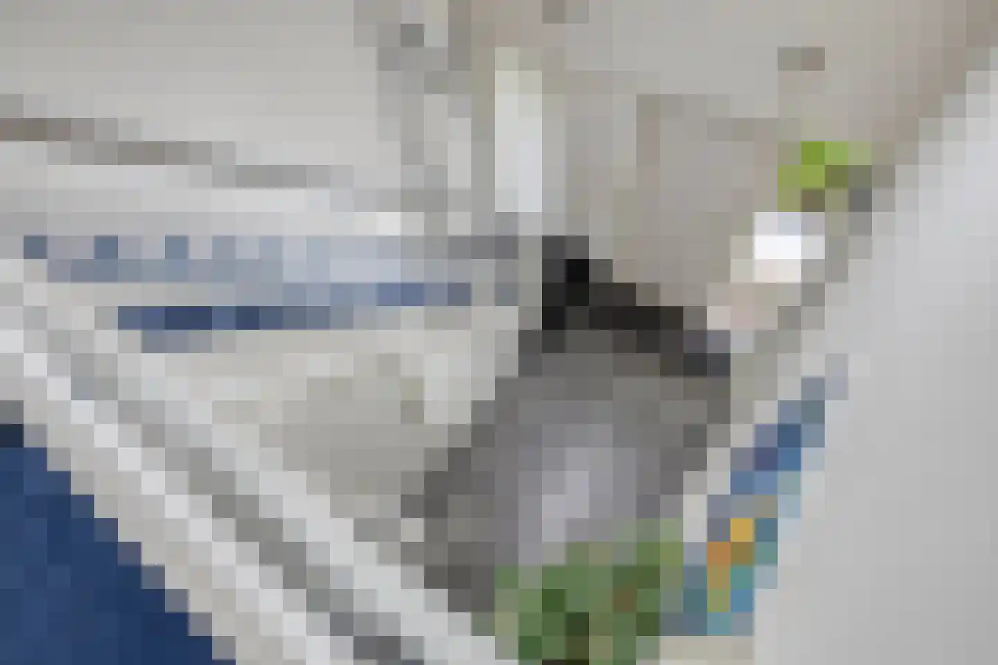 Houtsnip 2 Castricum thumbnail 39