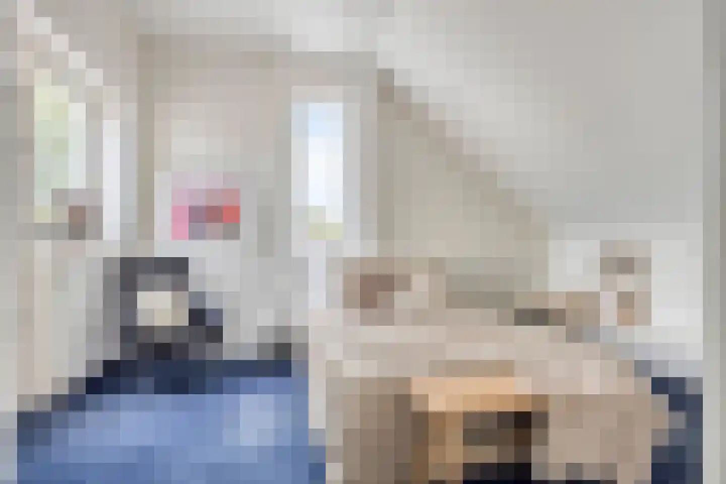 Houtsnip 2 Castricum thumbnail 40