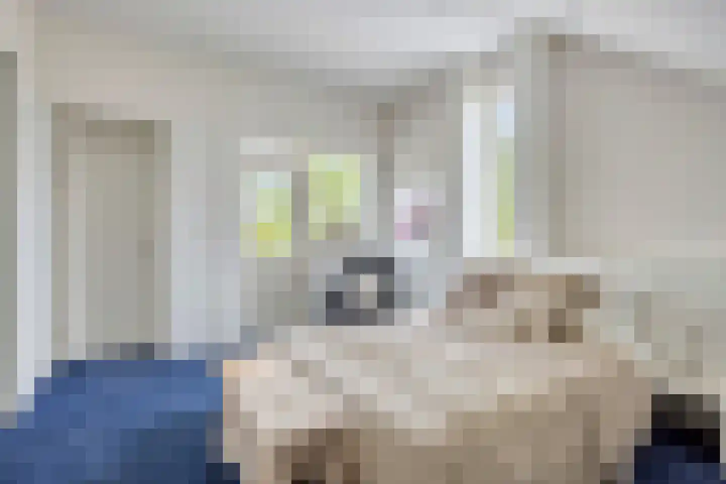 Houtsnip 2 Castricum thumbnail 42