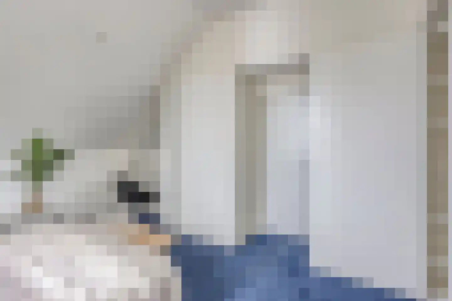 Houtsnip 2 Castricum thumbnail 43