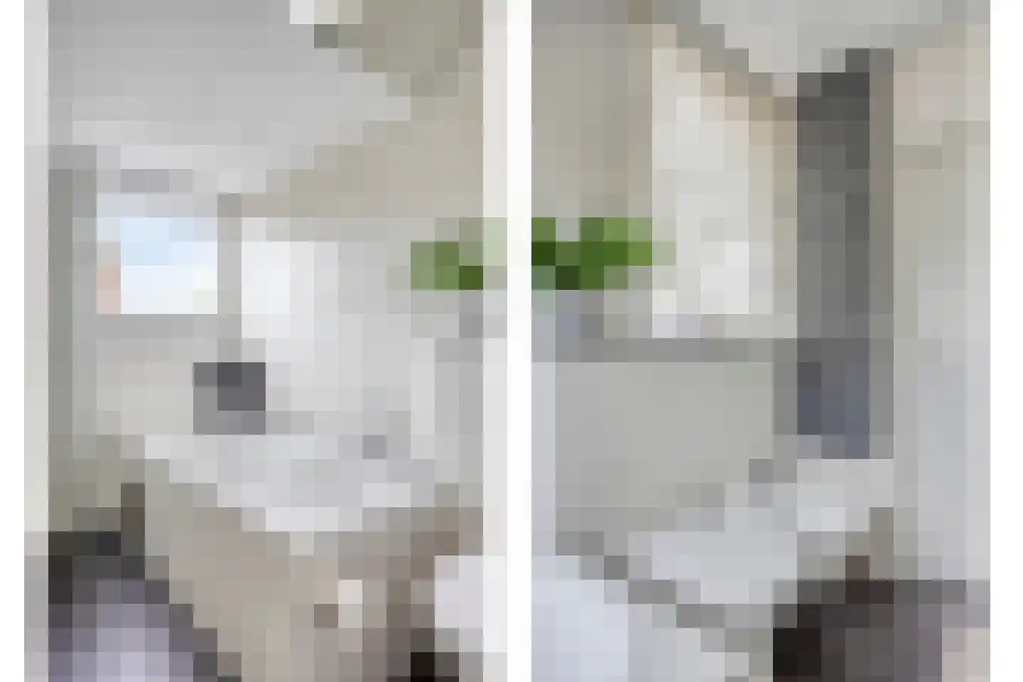 Houtsnip 2 Castricum thumbnail 46