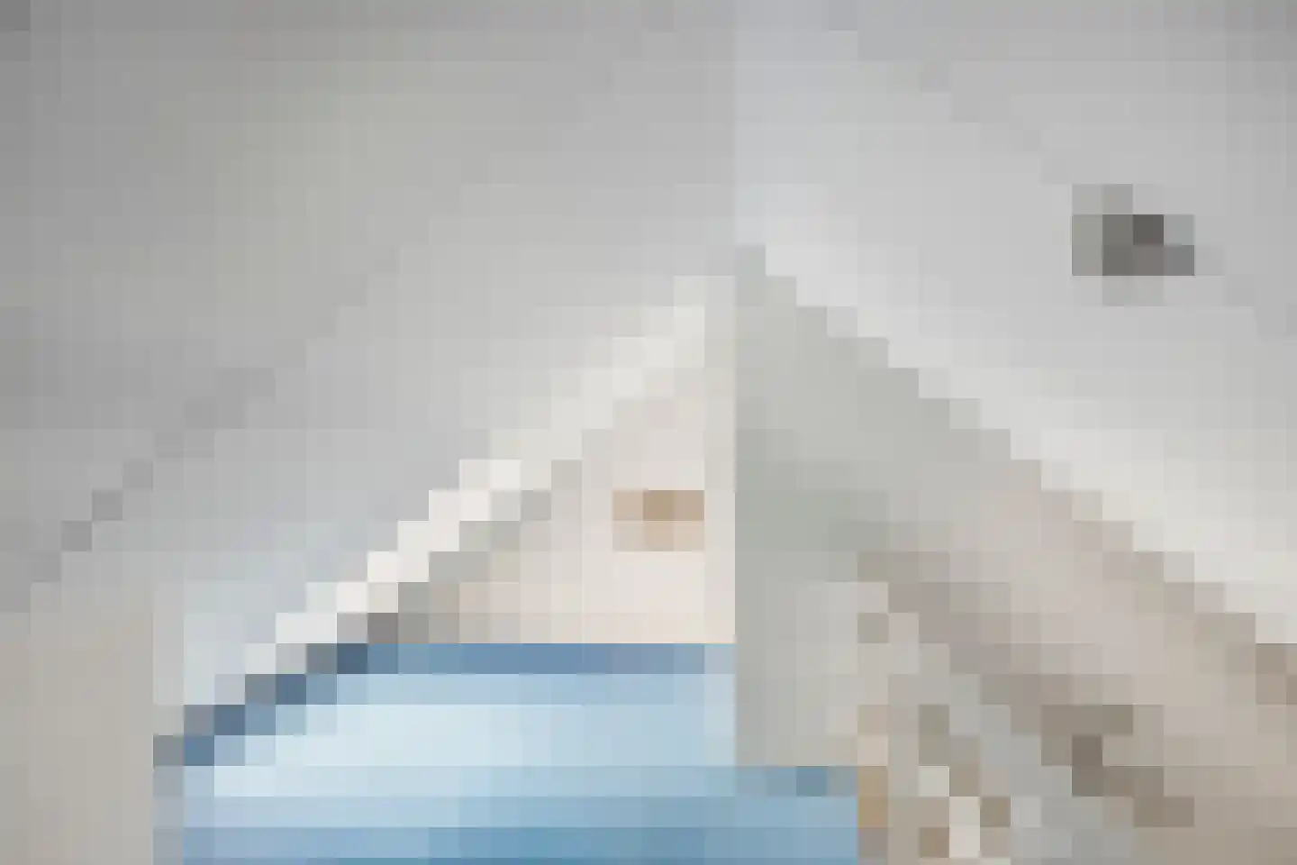 Houtsnip 2 Castricum thumbnail 51