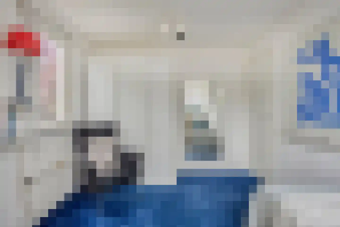 Houtsnip 2 Castricum thumbnail 58