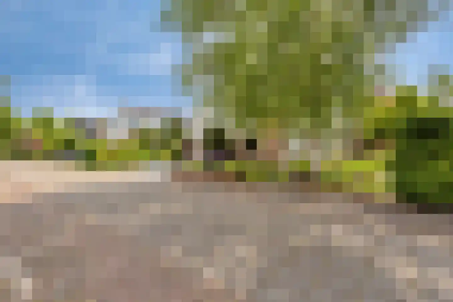 Houtsnip 2 Castricum thumbnail 59