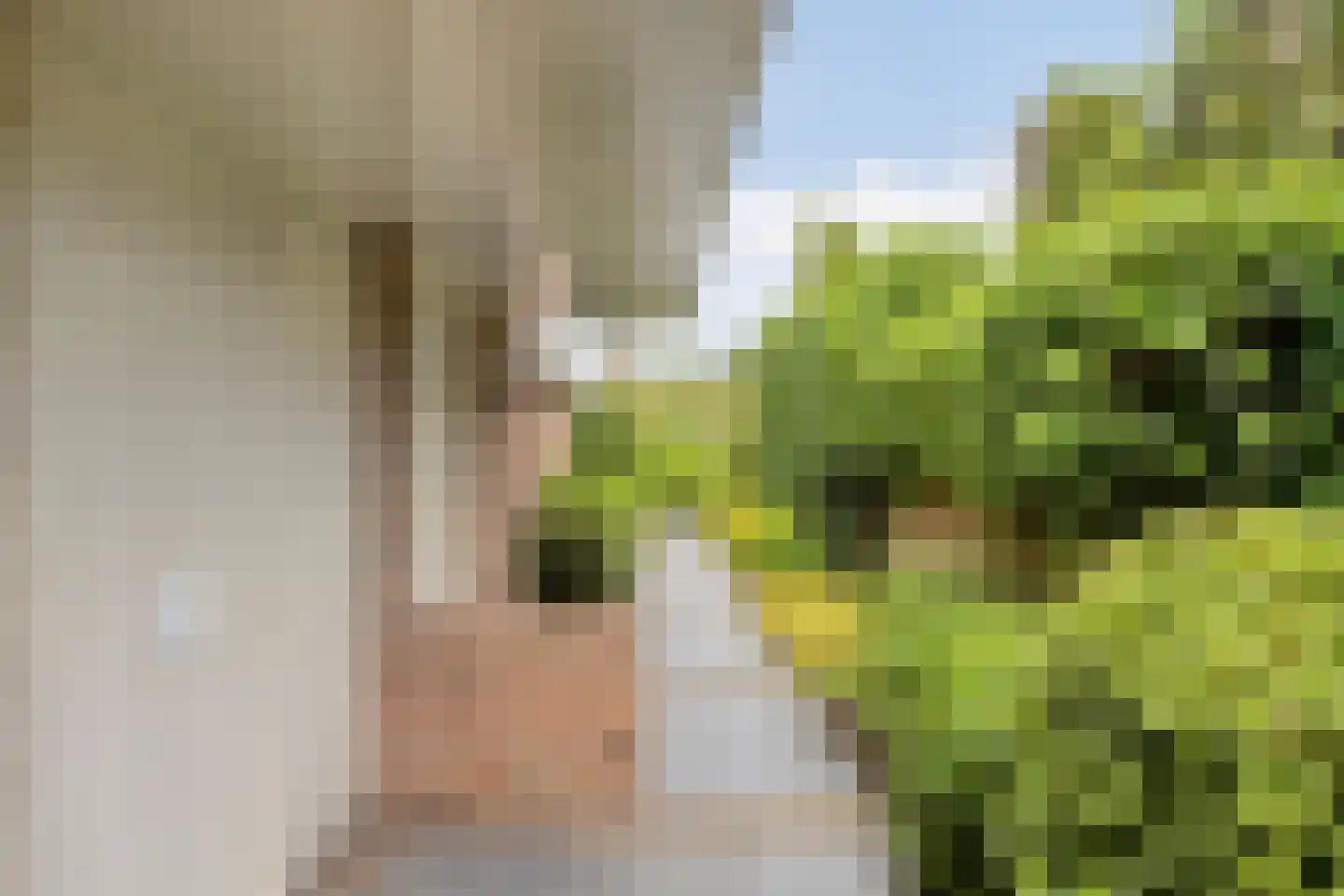 Houtsnip 2 Castricum thumbnail 61