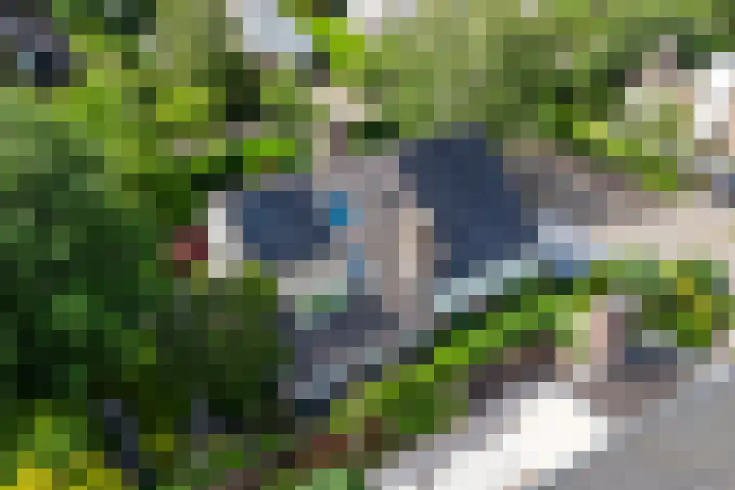 Houtsnip 2 Castricum thumbnail 63