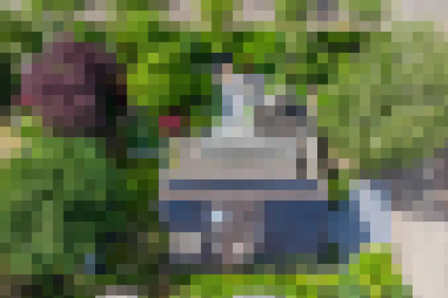 Houtsnip 2 Castricum thumbnail 64