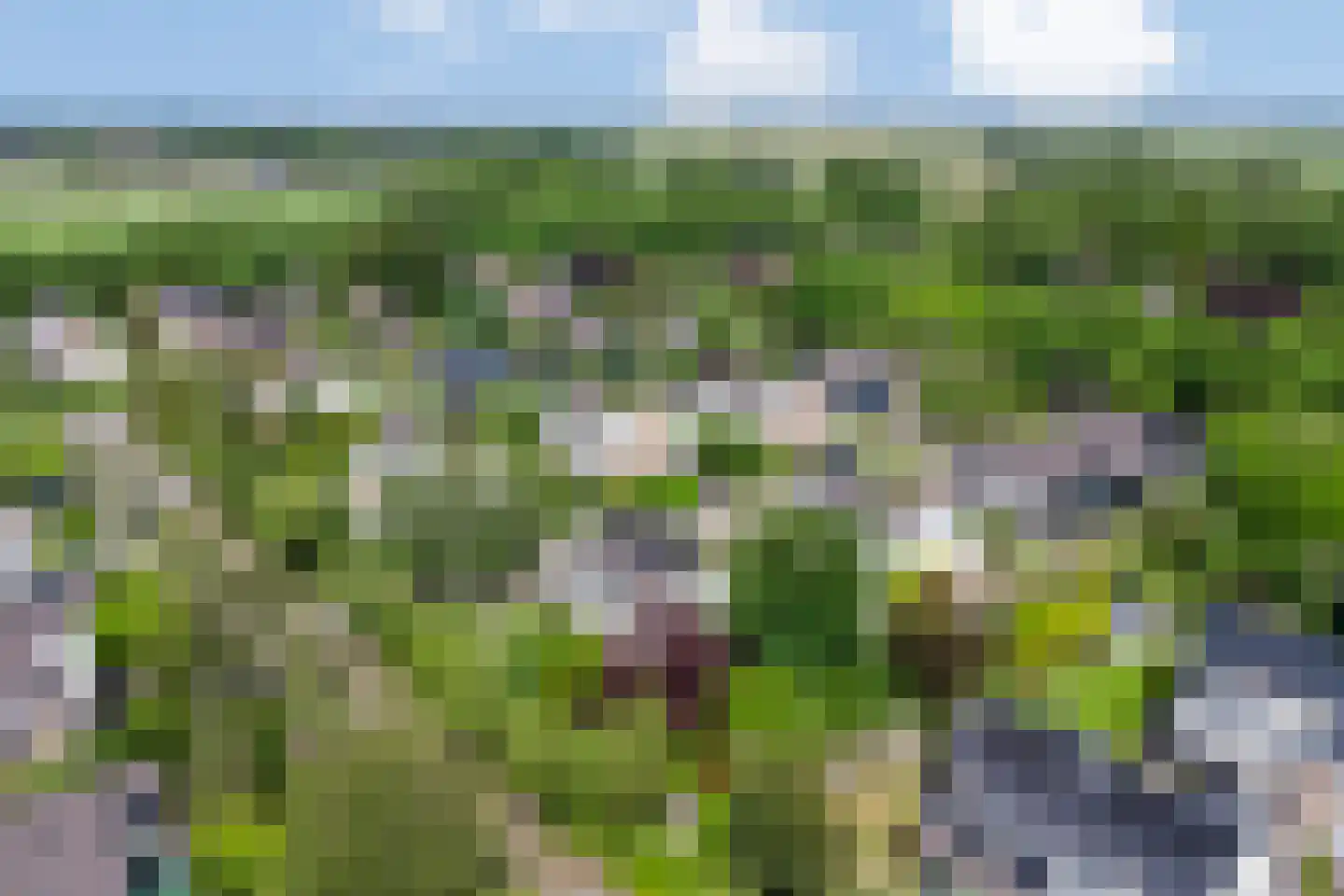 Houtsnip 2 Castricum thumbnail 65