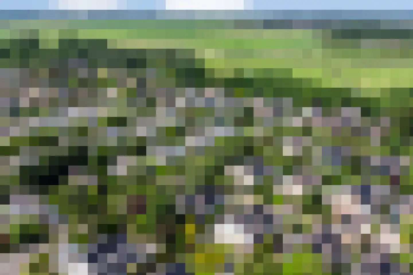 Houtsnip 2 Castricum thumbnail 66