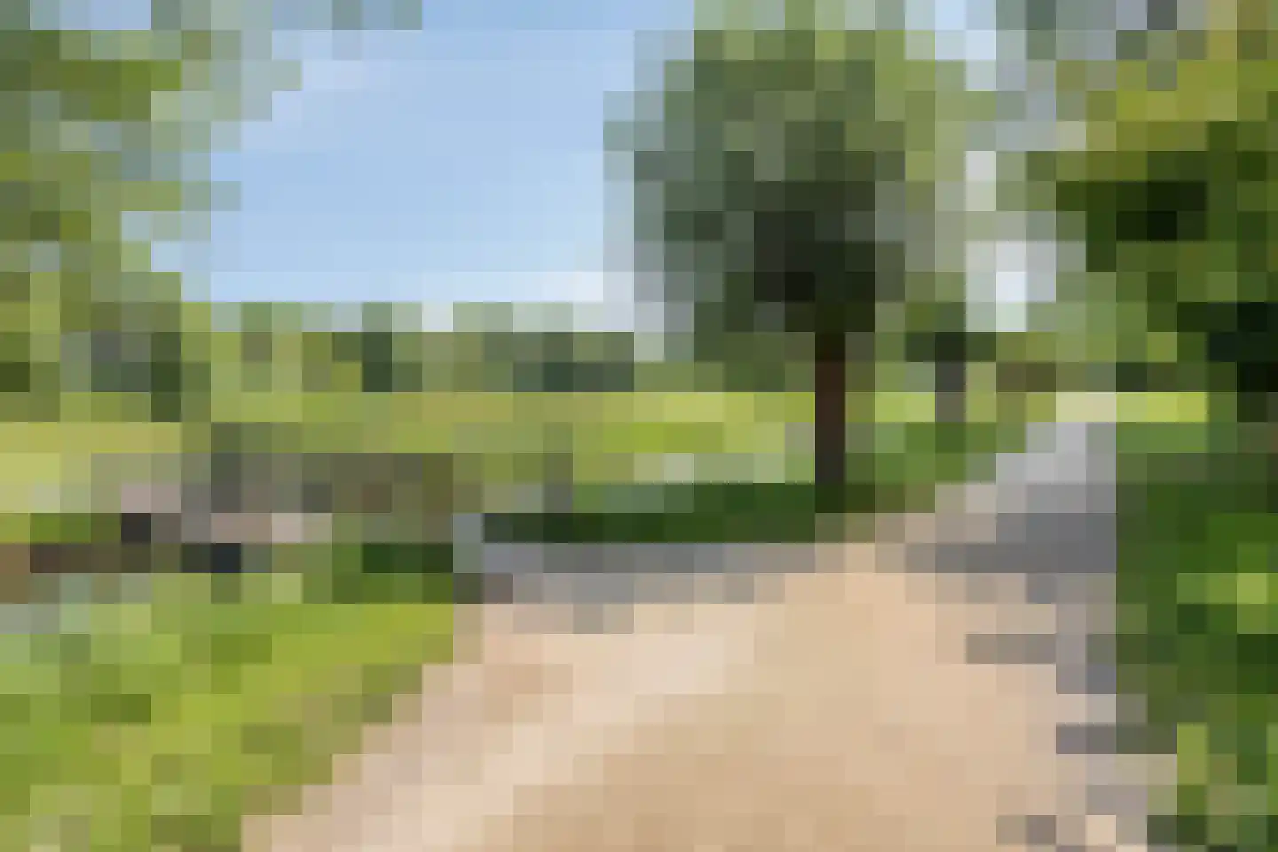 Houtsnip 2 Castricum thumbnail 68