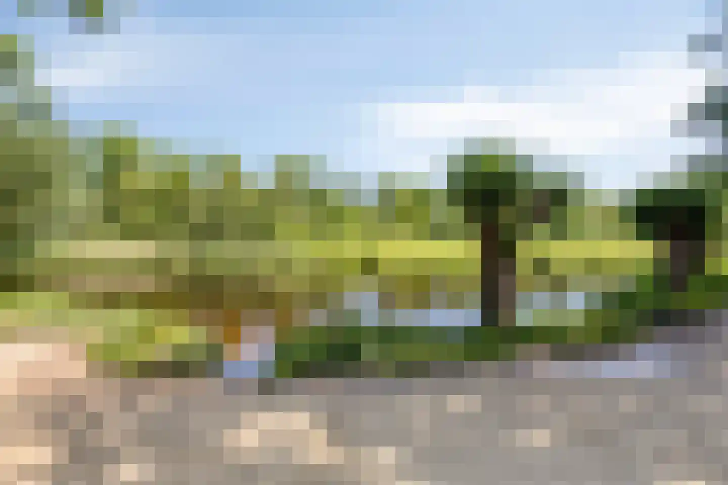 Houtsnip 2 Castricum thumbnail 69