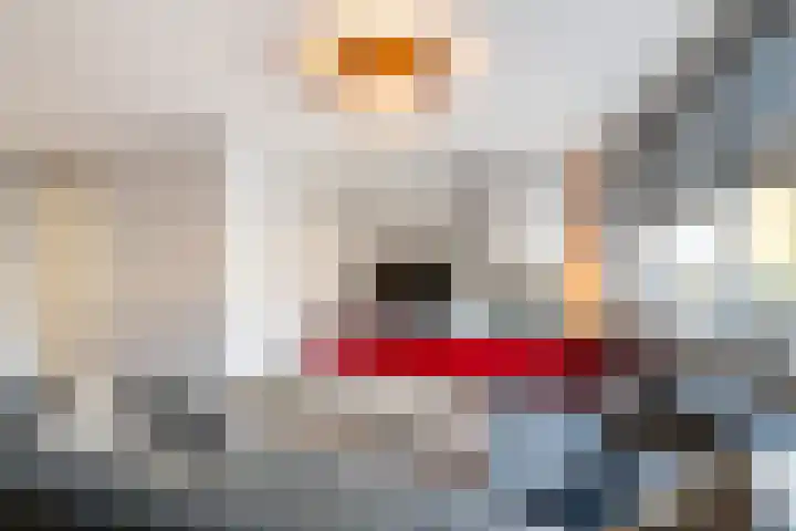 Houtsnip 35 Weert thumbnail 13