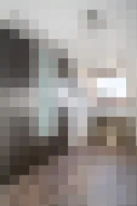 Houtsnip 35 Weert thumbnail 25