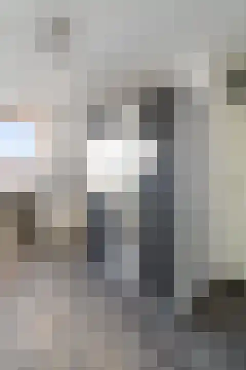 Houtsnip 35 Weert thumbnail 26