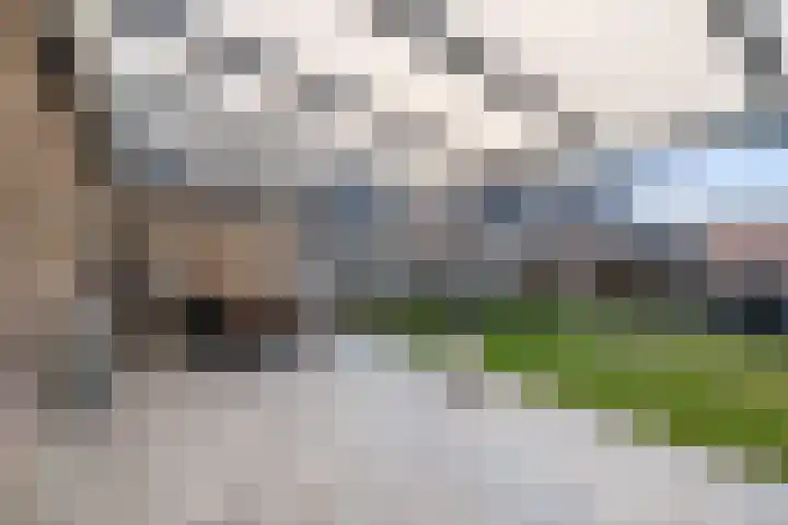 Houtsnip 35 Weert thumbnail 34