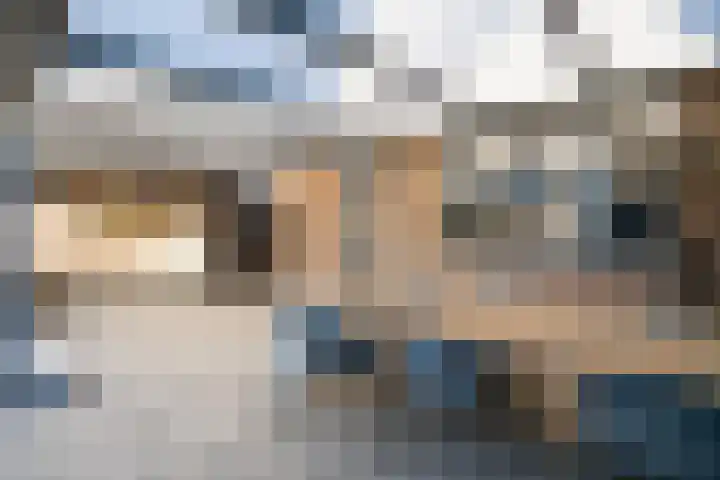 Houtsnip 35 Weert thumbnail 35