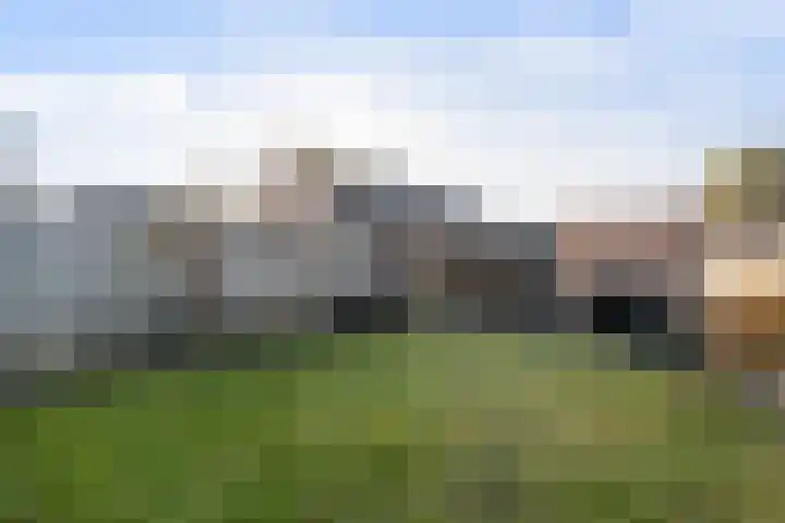 Houtsnip 35 Weert thumbnail 36