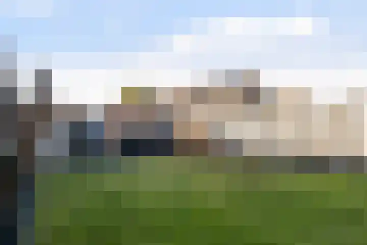 Houtsnip 35 Weert thumbnail 37