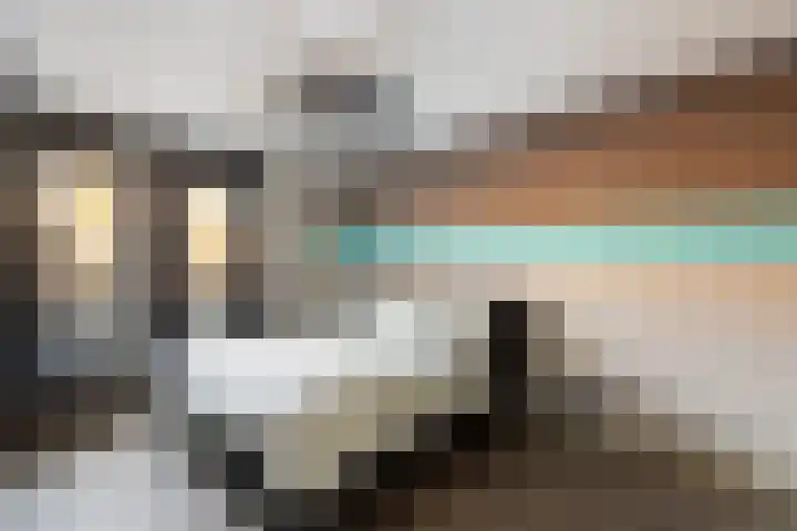 Houtsnip 35 Weert thumbnail 4
