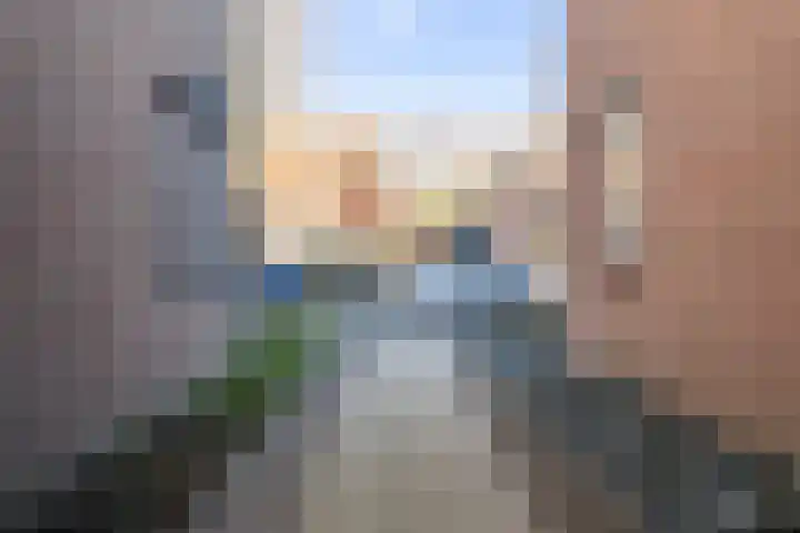 Houtsnip 35 Weert thumbnail 8
