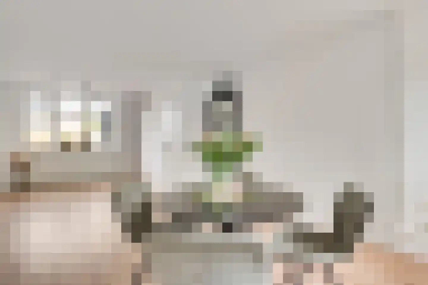 Houtsnip 41 Weert thumbnail 16