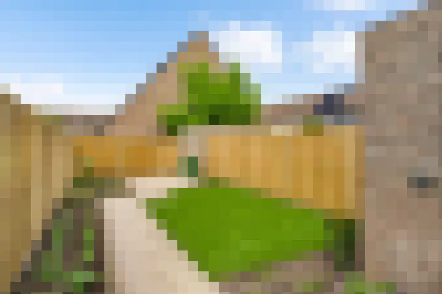 Houtsnip 41 Weert thumbnail 38
