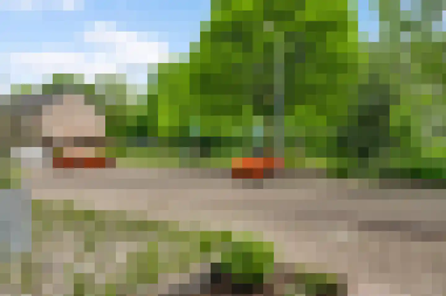 Houtsnip 41 Weert thumbnail 9