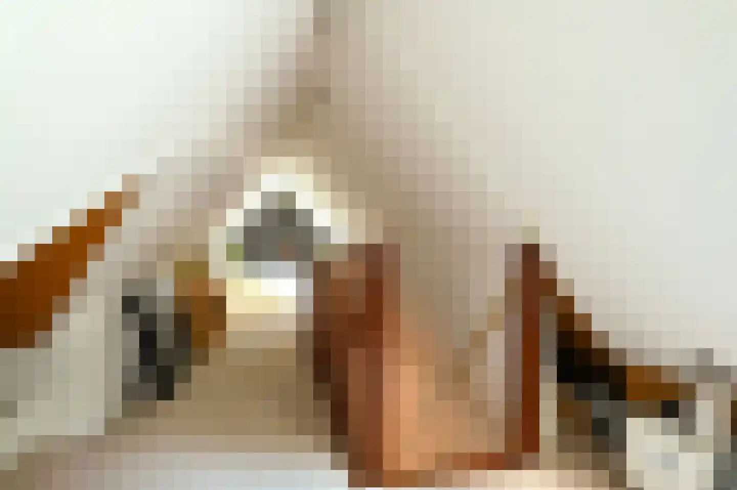 Houtsnip 7 Soest thumbnail 32