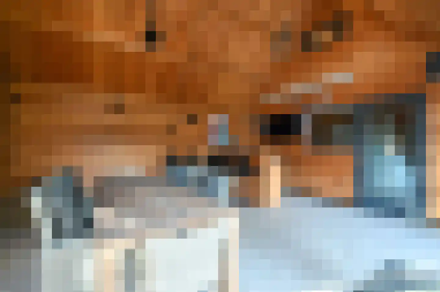 Houtsnip 7 Soest thumbnail 35