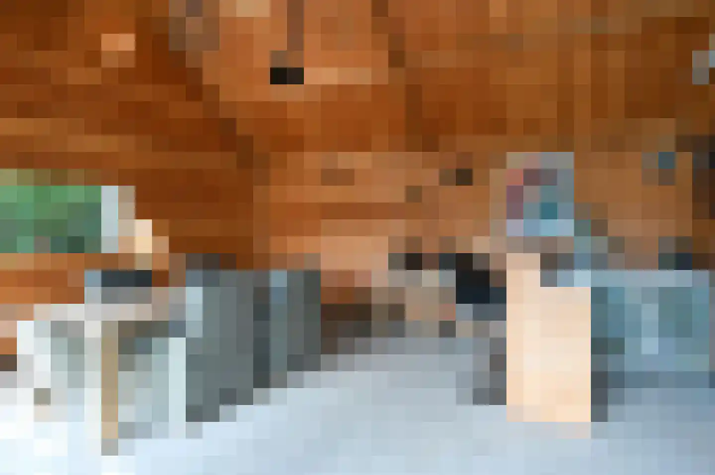 Houtsnip 7 Soest thumbnail 36