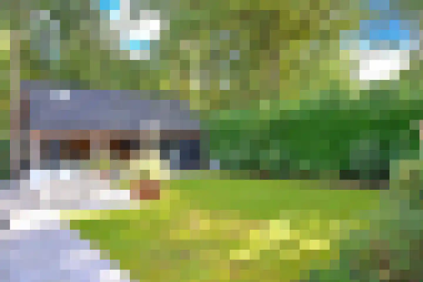 Houtsnip 7 Soest thumbnail 4