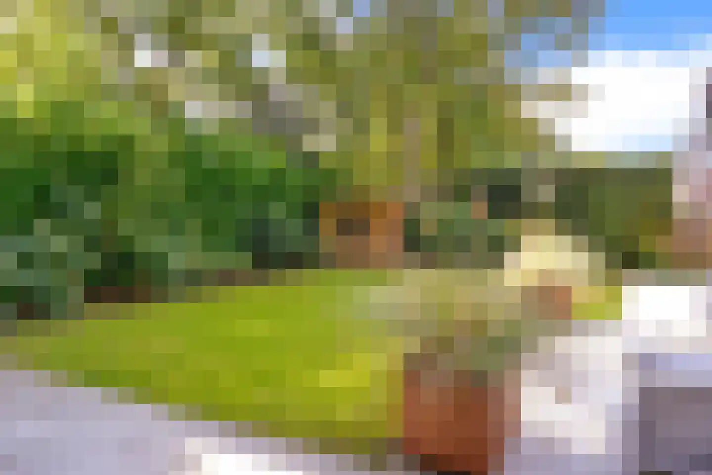 Houtsnip 7 Soest thumbnail 41