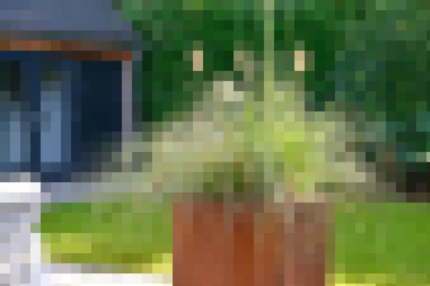 Houtsnip 7 Soest thumbnail 42