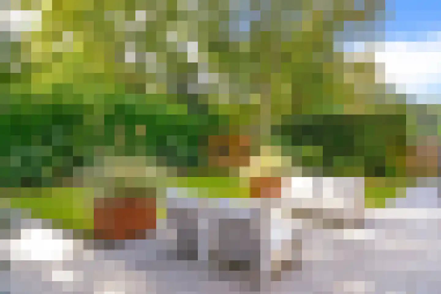 Houtsnip 7 Soest thumbnail 43