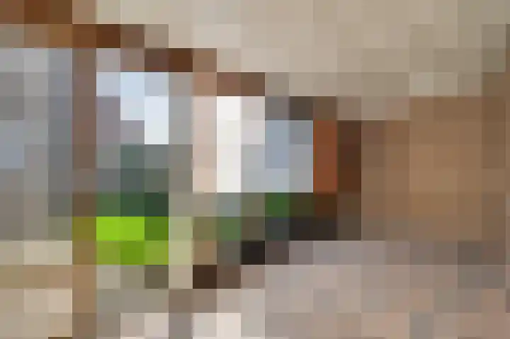 Houtsnip 73 Weert thumbnail 10