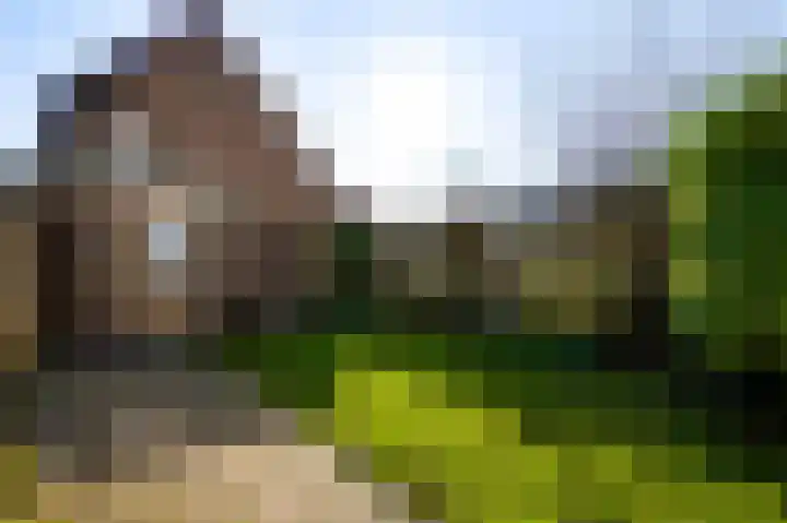 Houtsnip 73 Weert thumbnail 19