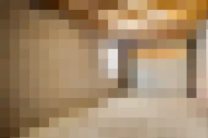 Houtsnip 73 Weert thumbnail 20