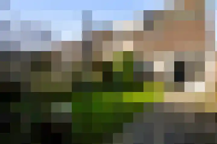 Houtsnip 73 Weert thumbnail 21