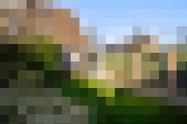Houtsnip 73 Weert thumbnail 22